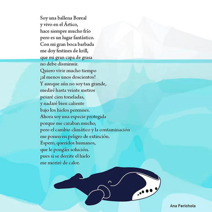 Ballena Boreal