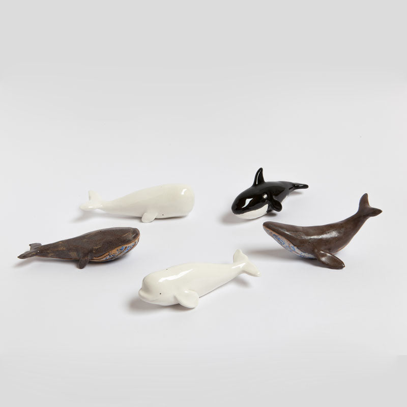 Killer Whale