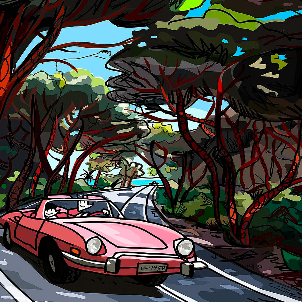 Panorámica Carretera del Saler Impresión Fine Art