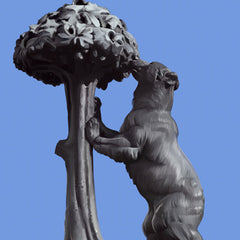 Covain Lacruz Image 1