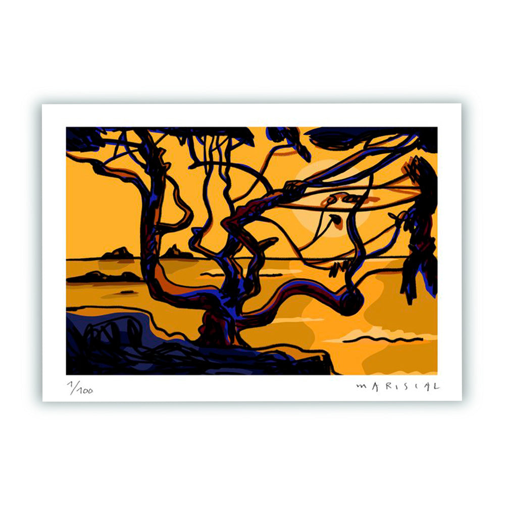 El pi de Sa Francesca Impresión Fine Art