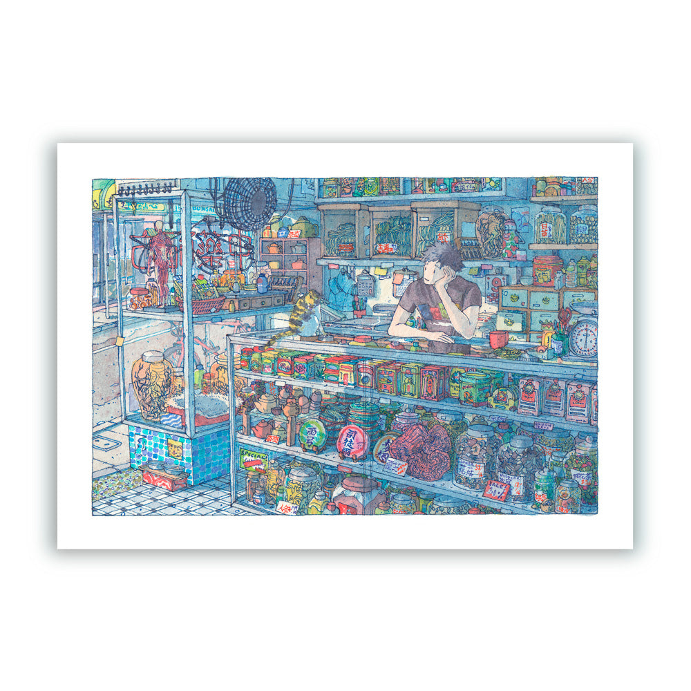 Herb Shop Impresión Giclée