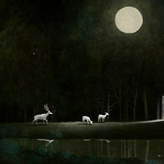 Marco Leie Image 5