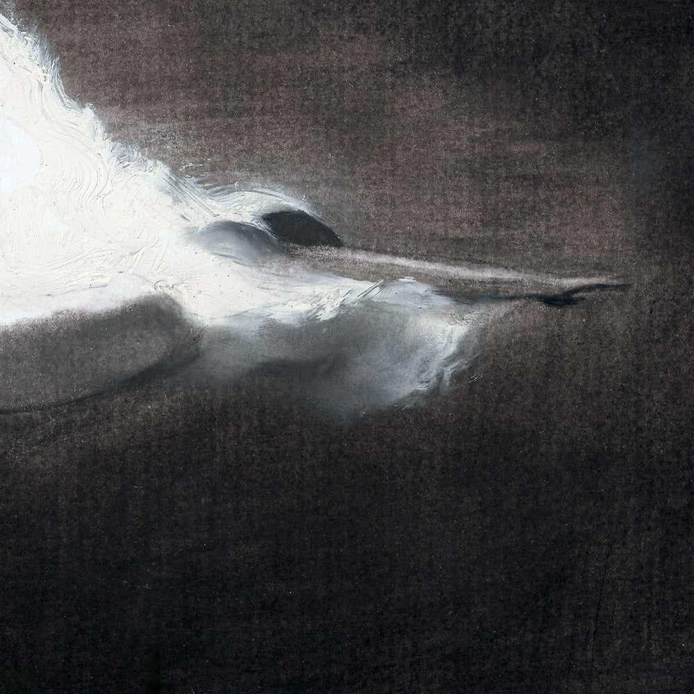 Nadar Impression Giclée
