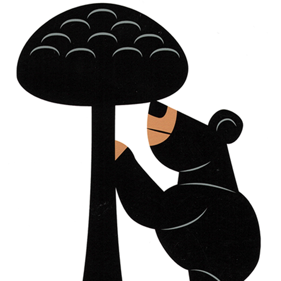 Oso y Madroño Letras Giclée Print