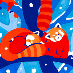 Roxane Campoy Image 5