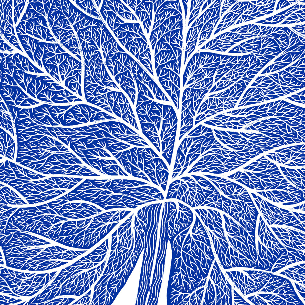 Papel de Agua 02 Giclée Print