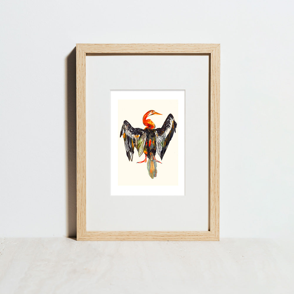 Pelican Impresión Giclée