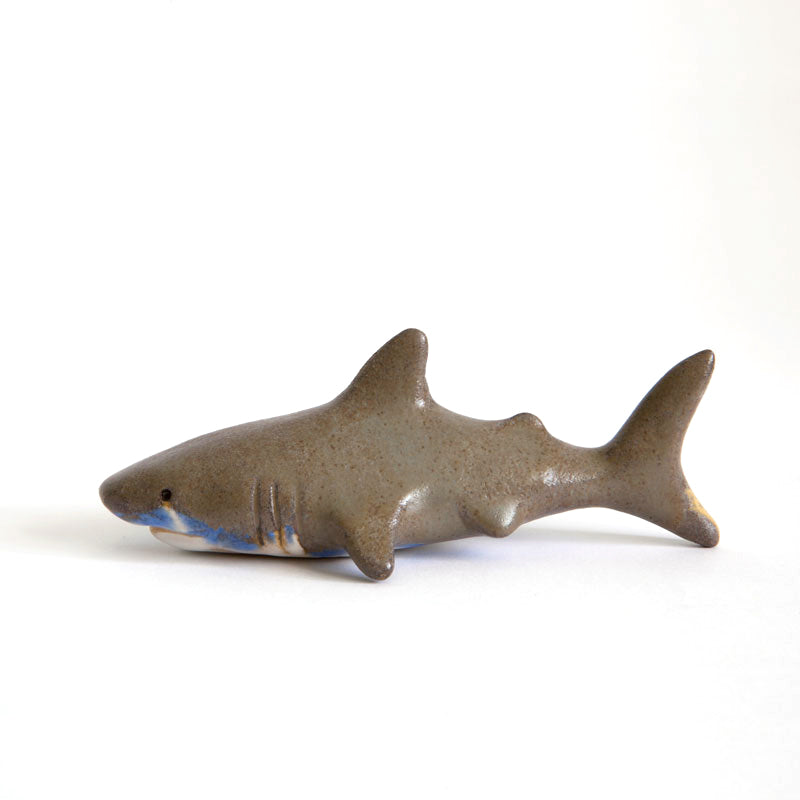 Shark