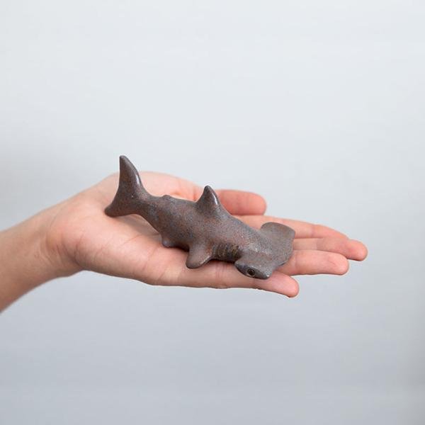 Tiburón Martillo
