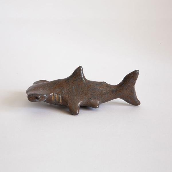 Tiburón Martillo