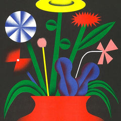 ZEBU Image 1