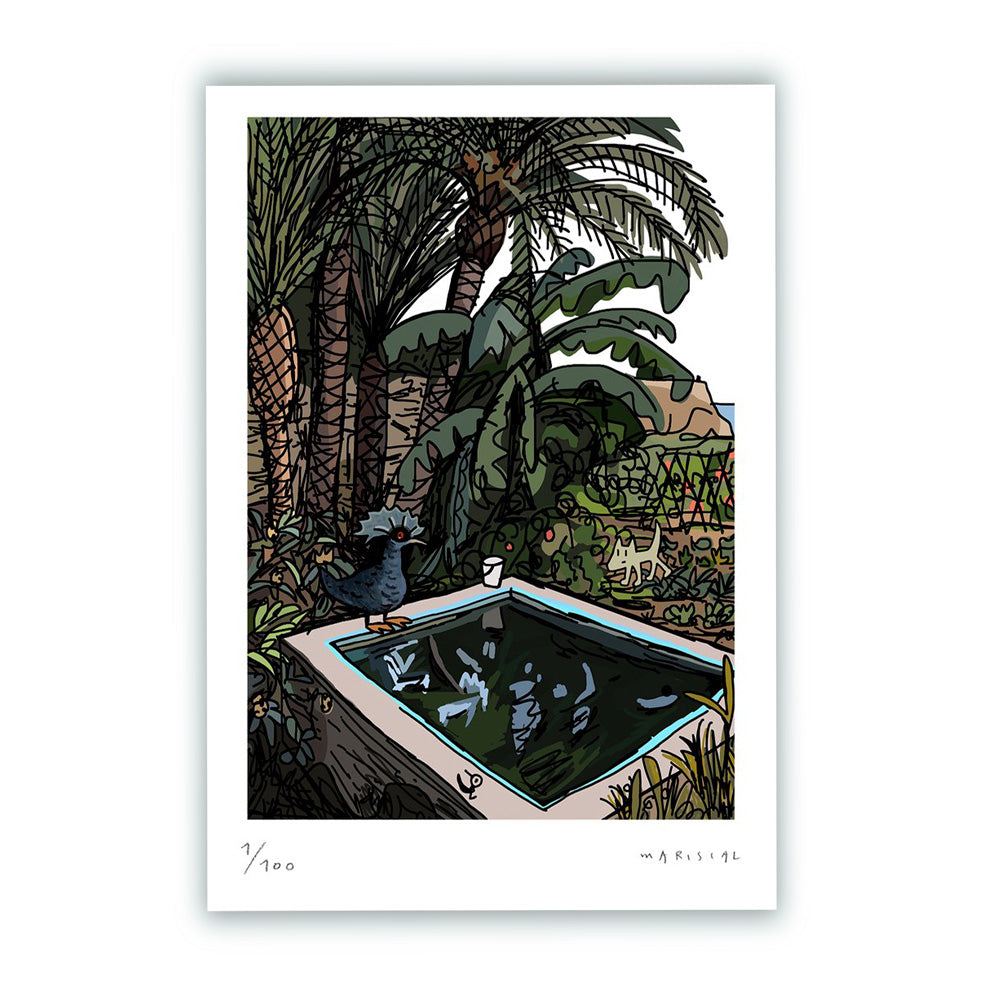 Julian in the Pool Fine Art Print 50x70