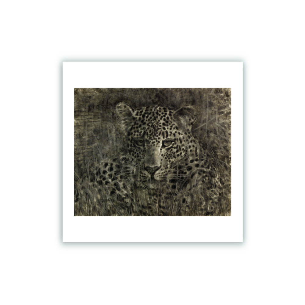 El Leopardo Gris Giclée Print 22x22