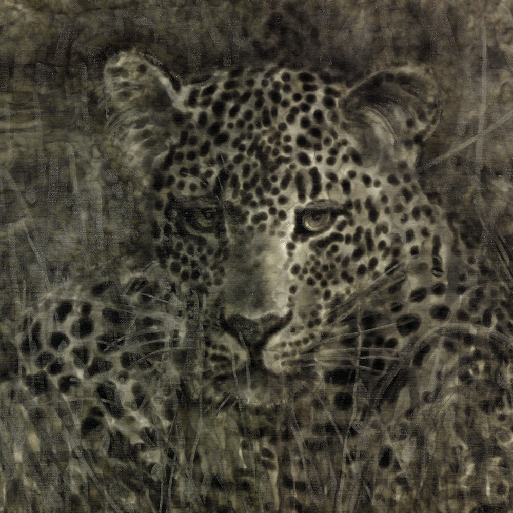 El Leopardo Gris Impresión Giclée 22x22