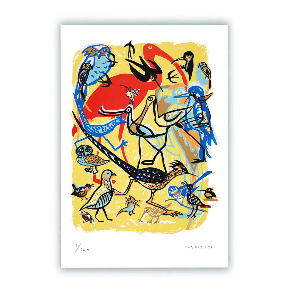 Pájaros Impresión Fine Art 50x70