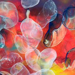 Abstracto Image 5