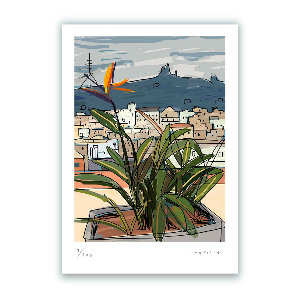 Terrace with Flower Fine Art Print 30x40