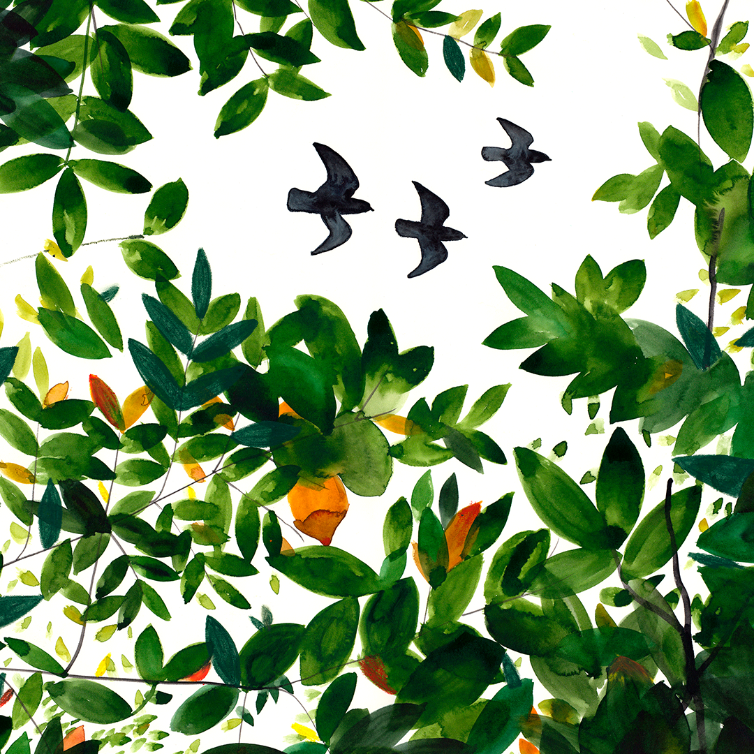 Treetops Impresión Giclée